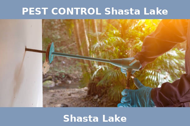 PEST CONTROL Shasta Lake